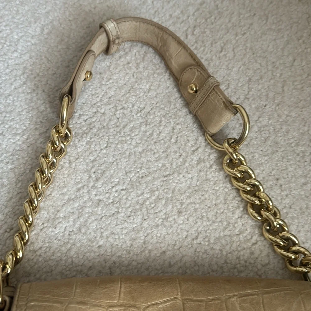 Badgley Mischka purse
